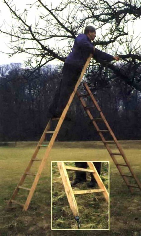 Лестница для подрезки деревьев