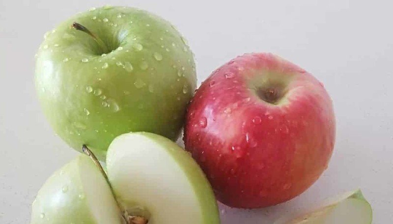 Ренет писгуда сорт яблони