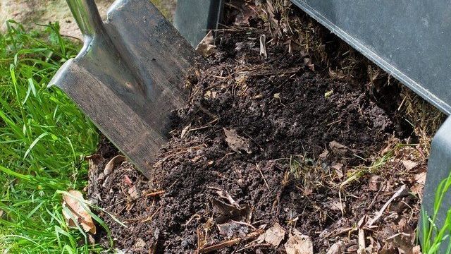 11 способов применения компоста на участке | Дела огородные