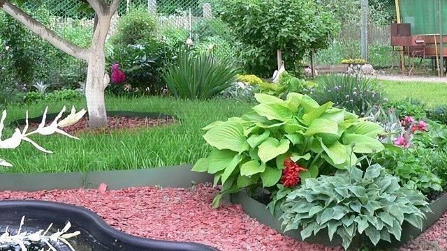 Садовая бордюрная лента — для грядок газонов клумб