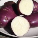 Безкрахмалистые плоды с превосходным вкусом — картофель Голубой Дунай