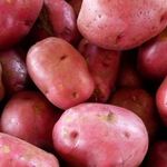 Характеристика описание урожайность отзывы и фото сорта картофеля кураж