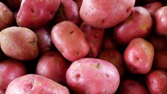 Характеристика описание урожайность отзывы и фото сорта картофеля кураж