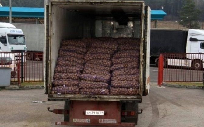 Транспорт для перевозки картофеля
