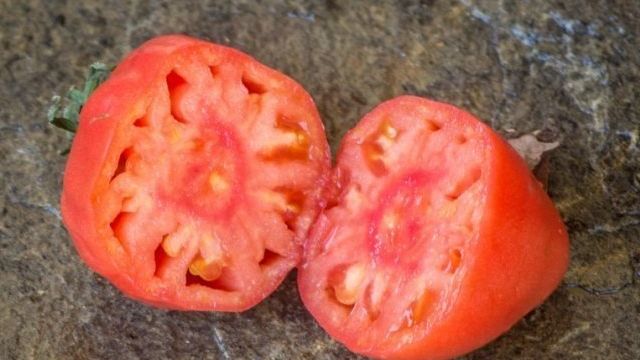 Как вырастить капризный Абаканский розовый томат
