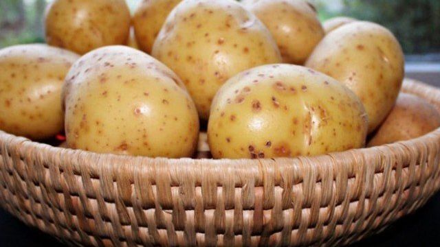 Картофель Айдахо — описание сорта и как приготовить в домашних условиях