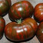 Неповторимый и запоминающийся томат «Полосатый шоколад»