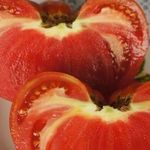 Позитивный настрой с сортом томатов Бабушкина радость