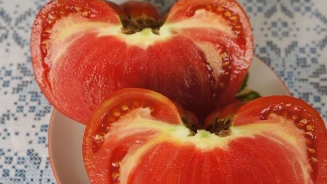 Позитивный настрой с сортом томатов Бабушкина радость