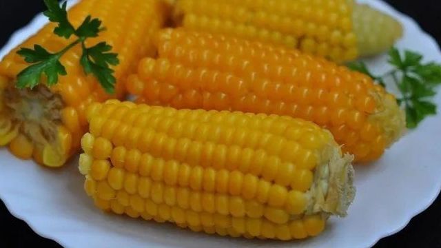 Сорт кукурузы бондюэль. Самые вкусные сорта кукурузы