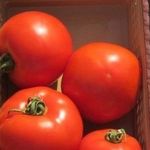 Сорт ставший находкой для фермеров — томат Лакомка