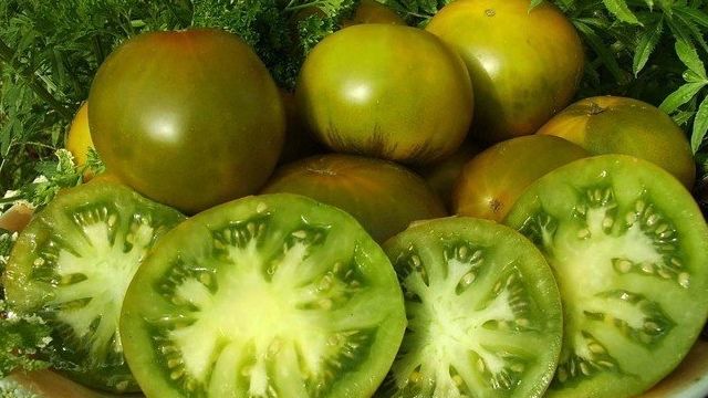 Томат Изумрудное яблоко: отзывы тех кто сажал помидоры об их урожайности, фото семян, описание сорта и характеристика