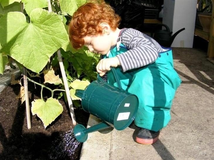 Дети поливают огород