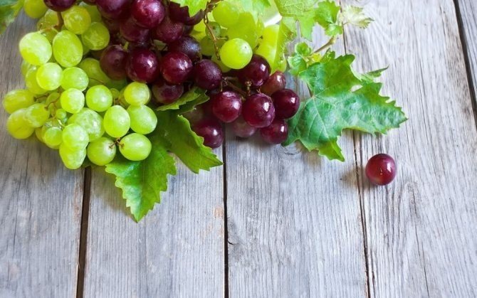 Фотофон с виноградом