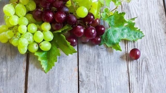 Сибирский виноград уже не экзотика: как виноград оказался в Сибири, какие сорта подходят для выращивания в суровом климате
