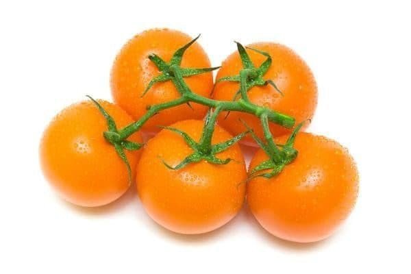 Оранжевый помидор на белом фоне