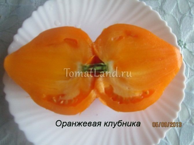 Томат оранжевое сердце лискин нос