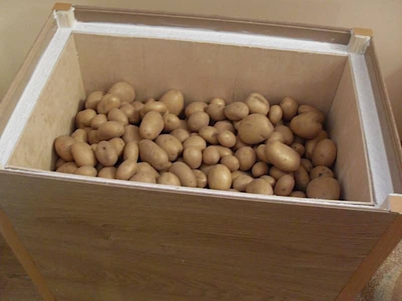 Пенопластовые ящики для хранения картофеля