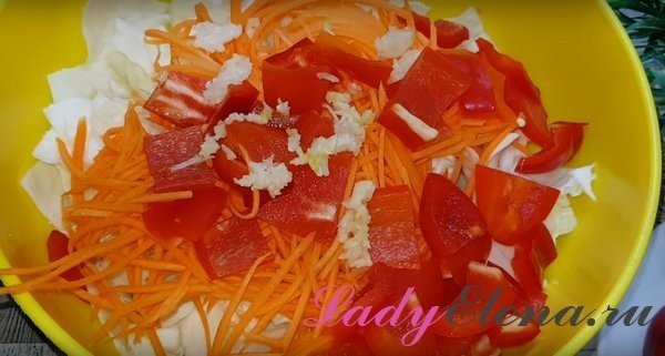 Салат из капусты перца сладкого моркови и лука без стерилизации
