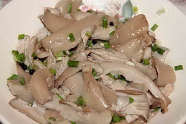 Белые китайские вешенки грибы рецепты