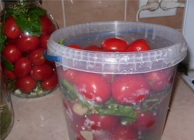 Засолка красных помидоров в пластиковом ведре.