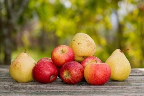 Яблоки и груши франции